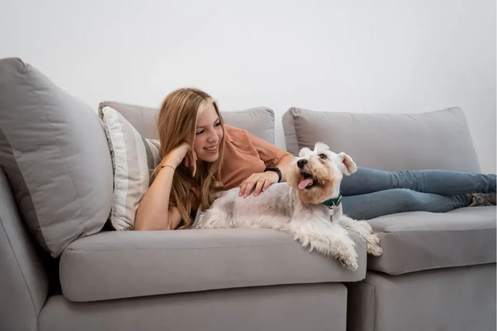 Higienização de Estofados para Quem Tem Pet em Casa 5 Higienização de Estofados para Quem Tem Pet em Casa