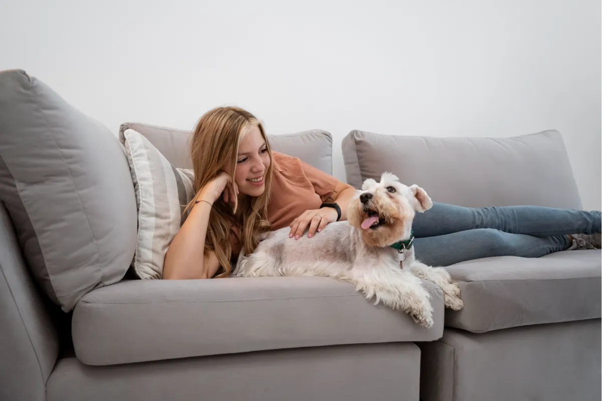 Blog SinaiClean 20 Higienização de Estofados para Quem Tem Pet em Casa