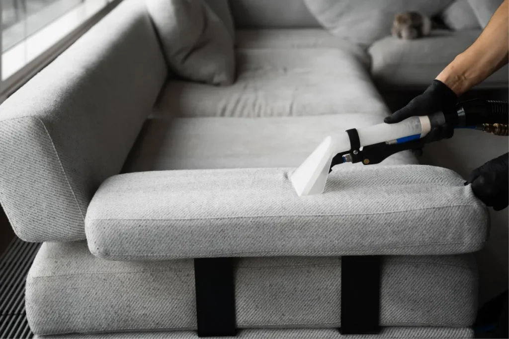 Higienização profissional de sofá: entenda o processo 1 Higienizacao profissional de sofa